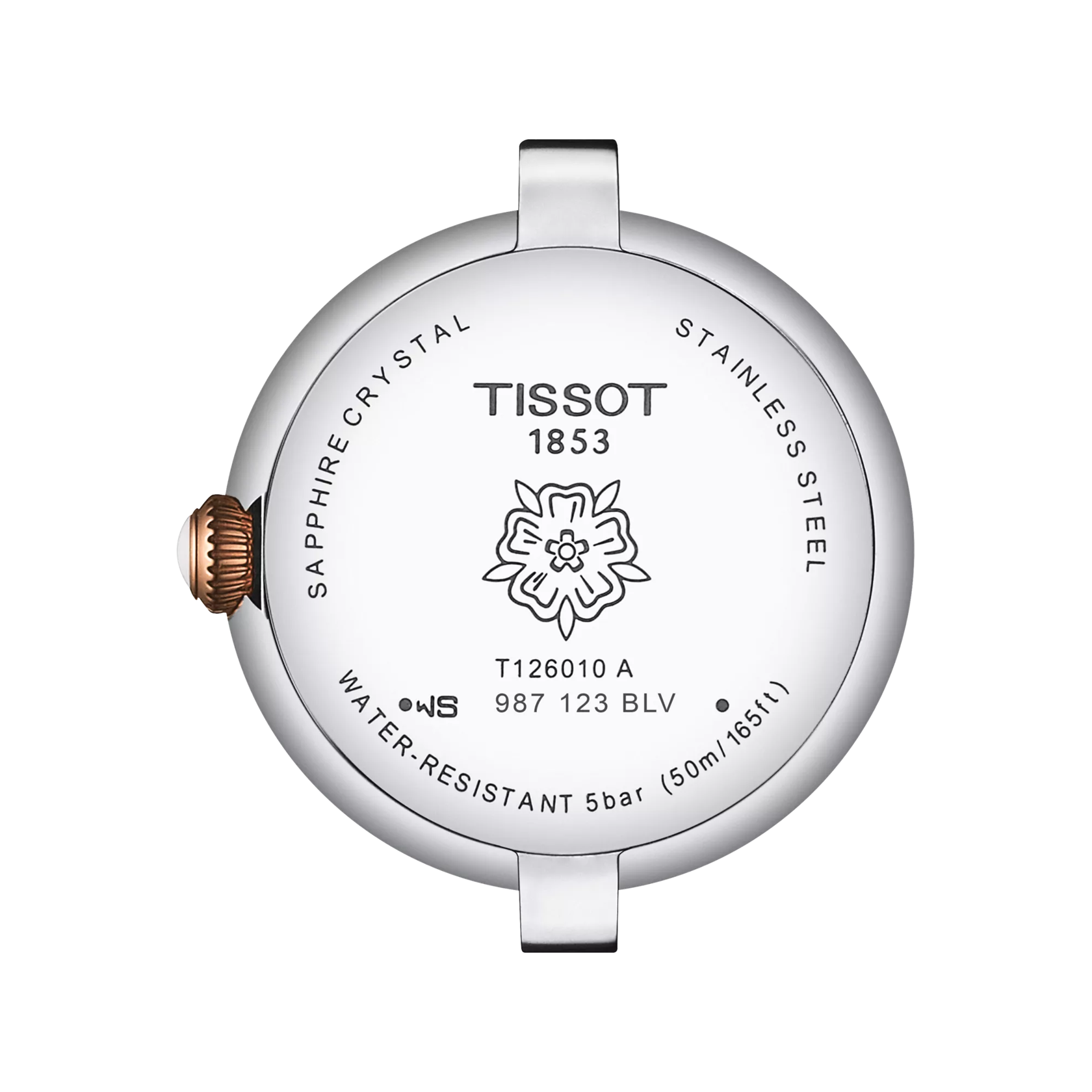 Tissot Bellissima Small Lady Watch T126.010.22.013.01