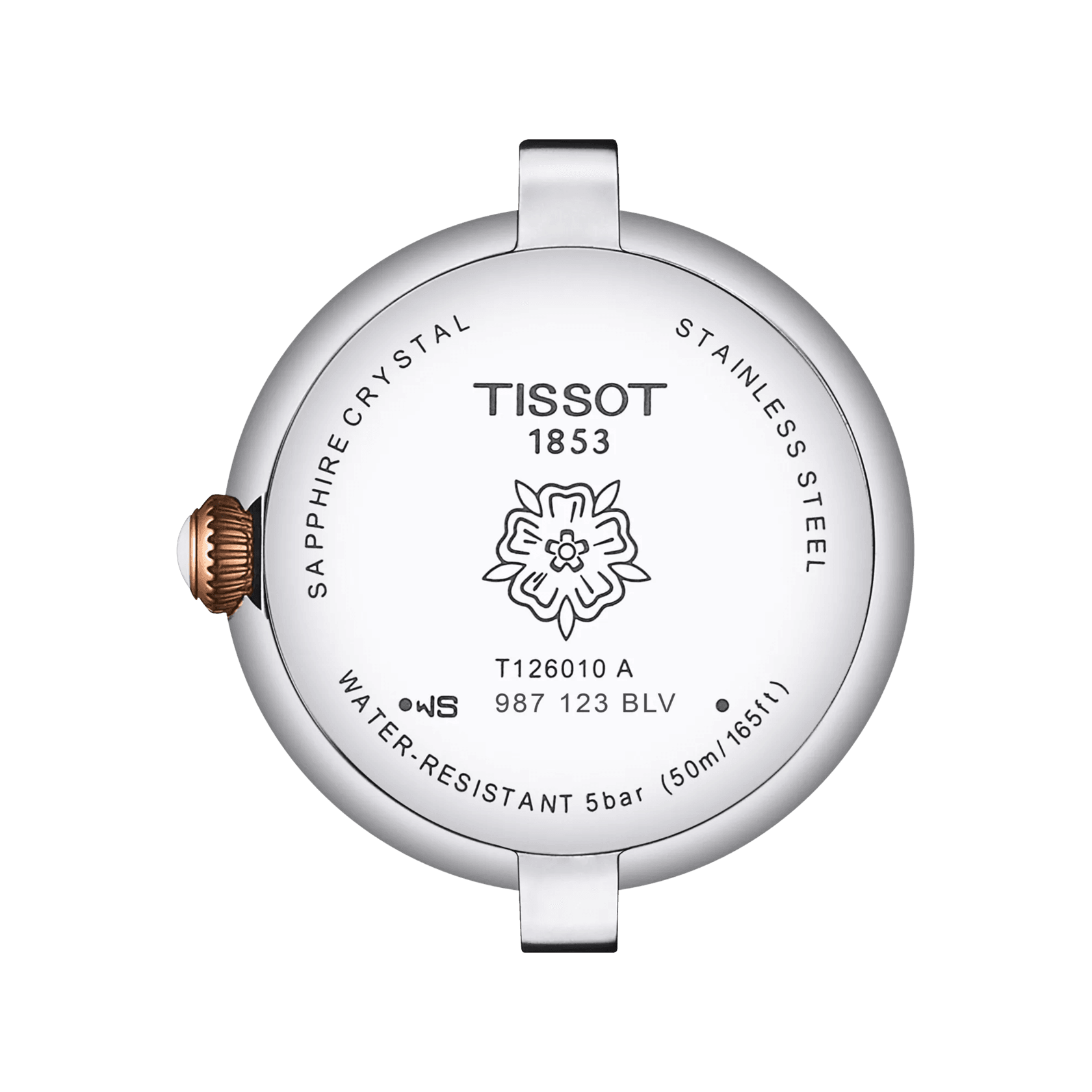 Tissot Bellissima Small Lady Watch T126.010.22.013.01