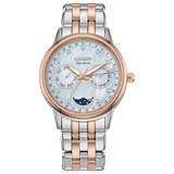 Citizen Calendrier FD0006-56D, front view