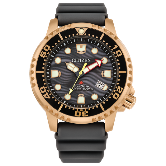 Promaster Dive BN0163-00H