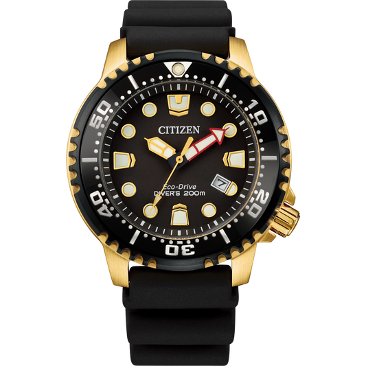 Promaster Dive BN0152-06E