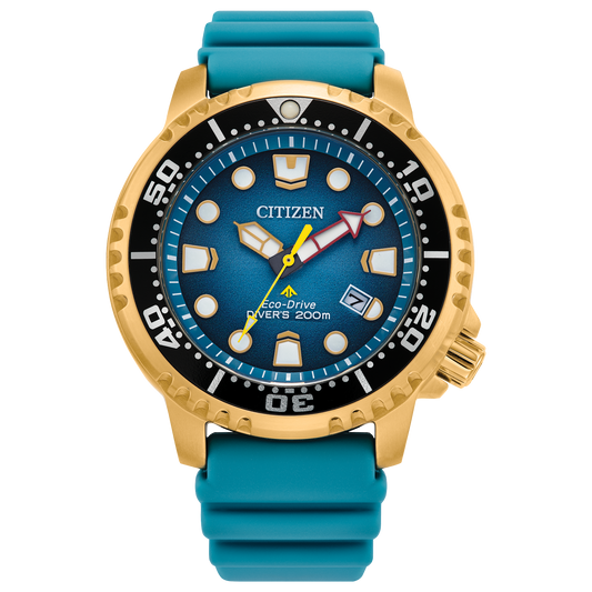 Promaster Dive BN0162-02X