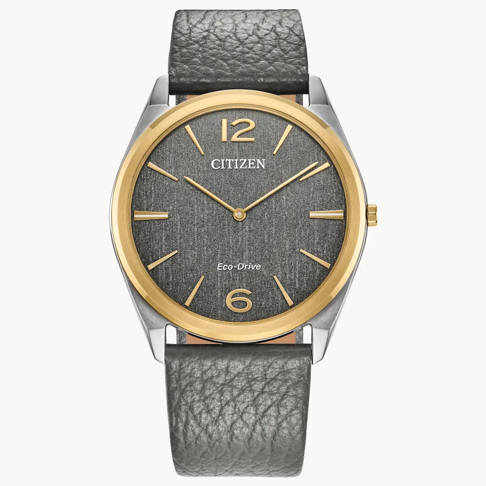 Citizen Suratto  AR3124-07H