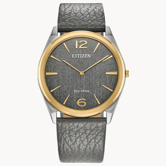 Citizen Suratto  AR3124-07H