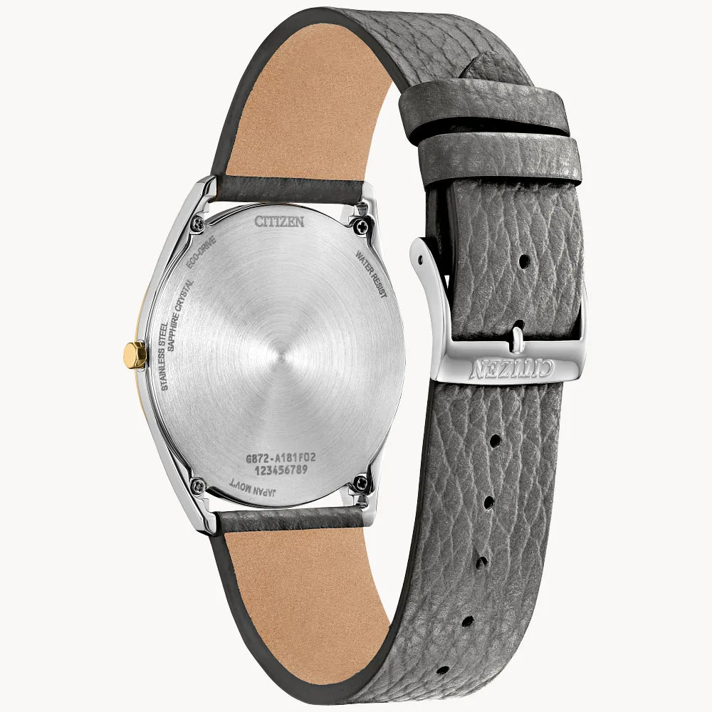 Citizen Suratto  AR3124-07H