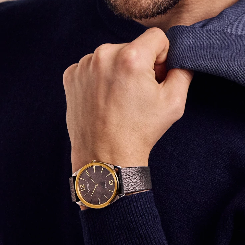 Citizen Suratto  AR3124-07H